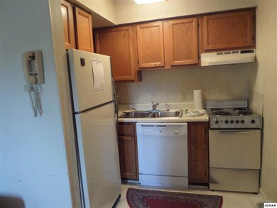 Additional View 7