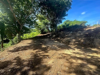 Carr 485 Carr 485, Camuy, PR 00627 - photo 3