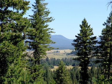 Huge Mountain & Valley Views