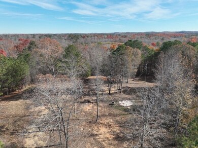 42 County Road 82, Fruithurst, AL 36262 - photo 7