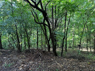 0 Pimlico Ln unit 1258601, Bella Vista, AR 72714 - photo 4