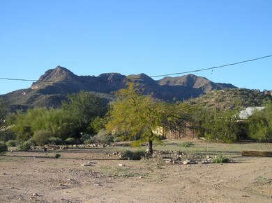 Looking North
