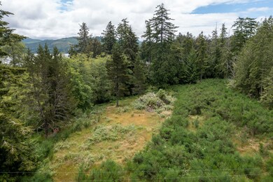 DJI_0392-HDR-1