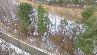 0 N Side of Stoney Ln unit PASK127688, New Ringgold, PA 17960 - photo 6