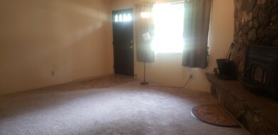 living room-fireplce insert