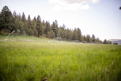 13005 Keno Worden Rd, Klamath Falls, OR 97603 - photo 5