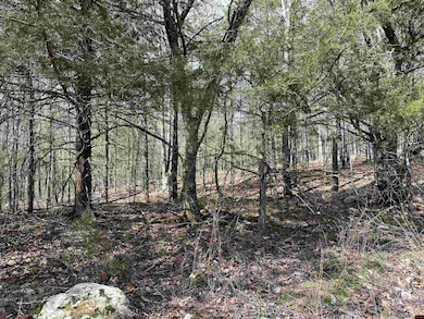 580-00005-016 Dovewood Ln, Flippin, AR 72634 - photo 2
