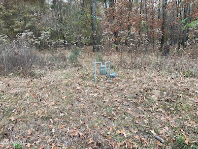 No Old Fannin Rd, Jackson, MS 39232 - photo 2