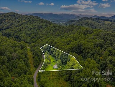 232 Langford Branch Rd, Burnsville, NC 28714 - photo 4