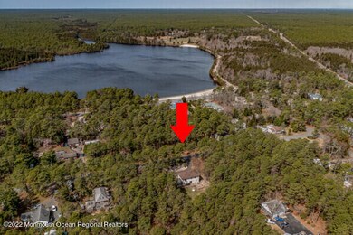 Aerial Lake View