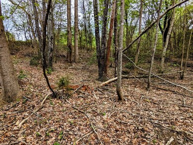 Lot 762 Surrey Ln, Spencer, TN 38585 - photo 6