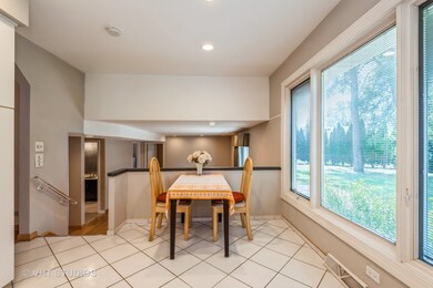 3817 Lizette Ln, Glenview, IL 60026 - photo 7