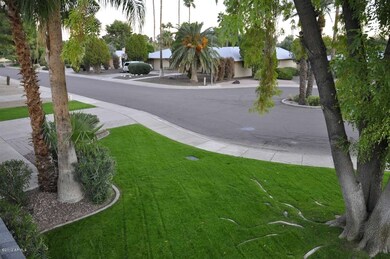 Front yard