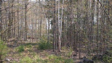 0 Winona Shores Rd unit 4859281, Meredith, NH 03253 - photo 7