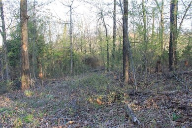 Lot 24 Park Ridge Dr, Lowell, AR 72745 - photo 2