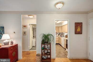 Tiber Island unit W500, Washington, DC 20024 - photo 7