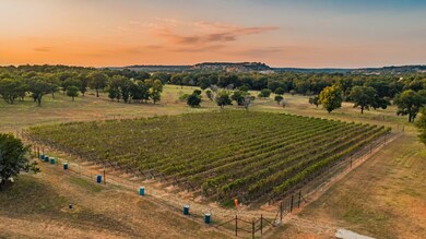 50 Maverick Ln, Fredericksburg, TX 78624 - photo 2