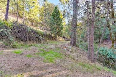 26355 Barb Wire Ln, Colfax, CA 95713 - photo 3