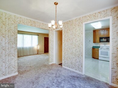 9906 Jonathan Dr, Dunkirk, MD 20754 - photo 6