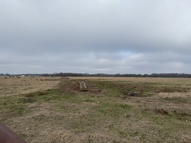 22844 Floyd Moore Rd, Gentry, AR 72734 - photo 4