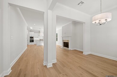 5134 Black River Rd, Darrow, LA 70725 - photo 5