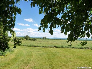 Backyard.
