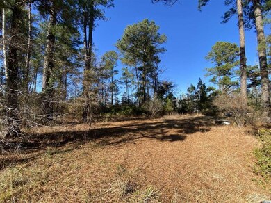 TBD 1.0 Acre Highway 378, Conway, SC 29527 - photo 7