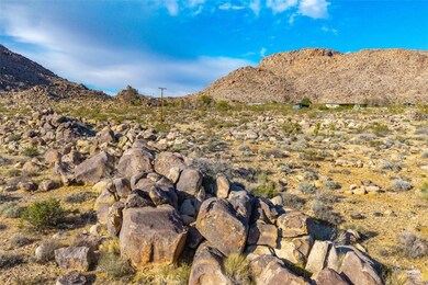 62570 Turtle Rd, Joshua Tree, CA 92252 - photo 6