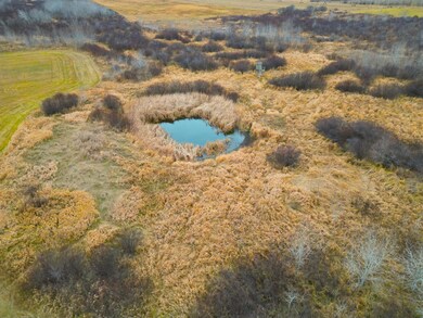 47691 635th Ave, Sebeka, MN 56477 - photo 4