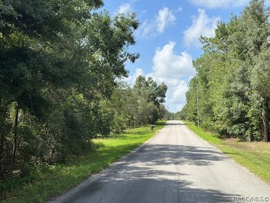 1050 E Whistler Ct, Hernando, FL 34442 - photo 4