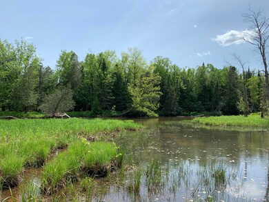 IMG_0630