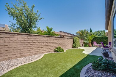 Backyard turf grass