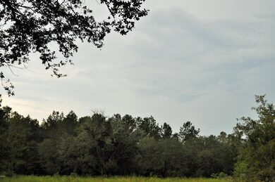 DSC_0210 (2)