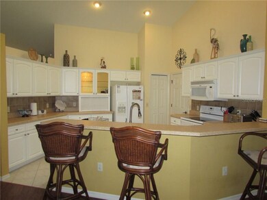 10031 SW 192nd Cir, Dunnellon, FL 34432 - photo 6