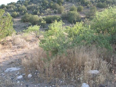 NATURAL VEGETATION