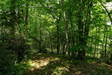 618 Nix Mountain Rd, Sapphire, NC 28774 - photo 7