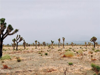 12452 Golden View Rd, Piñon Hills, CA 92372 - photo 2