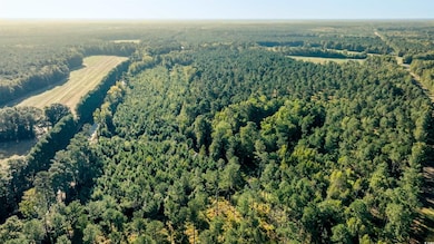 TBD Terrell's Bay Rd, Centenary, SC 29519 - photo 5