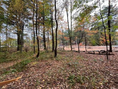 17 Nelson Point, Shrewsbury, MA 01545 - photo 2