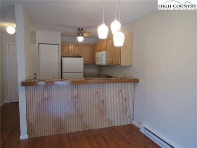 128 Zeb St unit 208, Boone, NC 28607 - photo 4