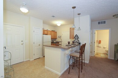 616 Aqua Marine Blvd unit 16, Avon Lake, OH 44012 - photo 5