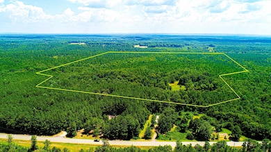 4444 Lagrange Hwy, Greenville, GA 30222 - photo 3