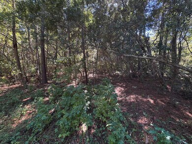 000 Half St, Summerville, SC 29483 - photo 6