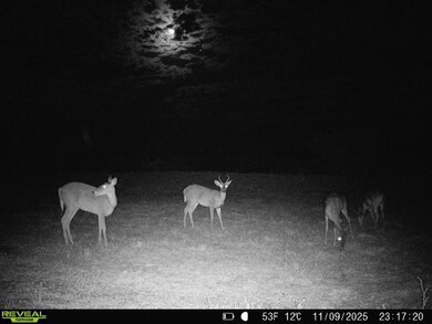 0 County Road 203 unit 25565276, San Jose, TX 78332 - photo 6