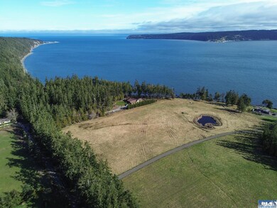 358 Daisey King Rd, Sequim, WA 98382 - photo 4