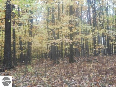 1733 Richard Dr, West Branch, MI 48661 - photo 5