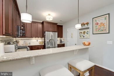 41900 Metamorphic Square unit 403, Aldie, VA 20105 - photo 7