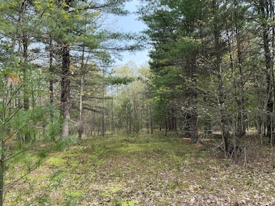 0 Critter Trail unit Parcel C, Filer Charter Township, MI 49660 - photo 7