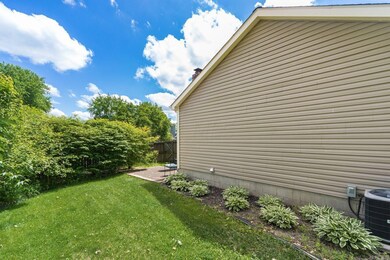 Y_Walnutview_Ct-011