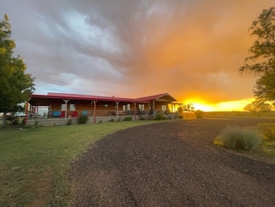 House View